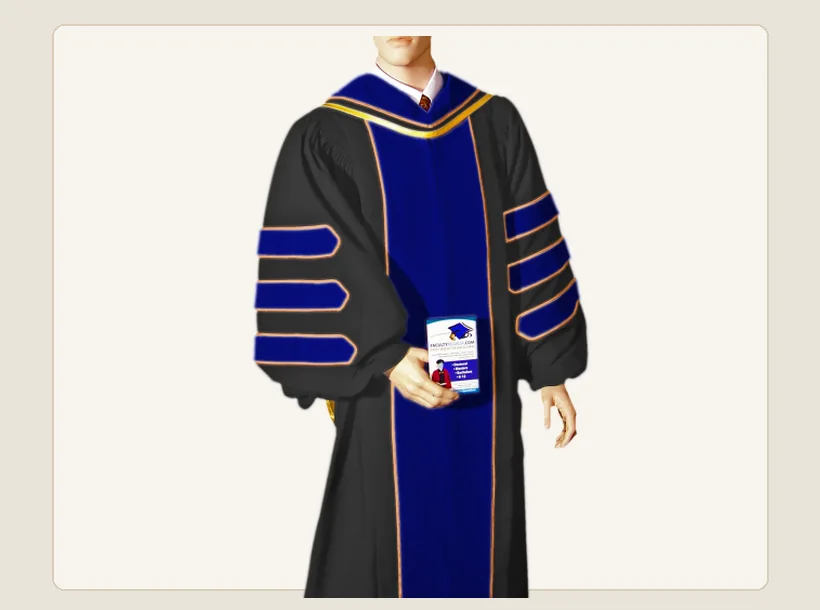 Customized doctoral academic regalia with velvet panels and sleeve chevrons